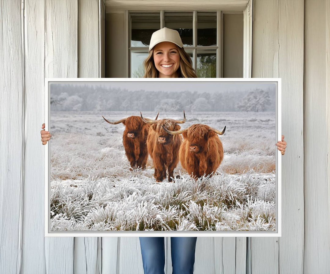 The Highland Cows in Snow canvas showcases three cattle in a frosty field.