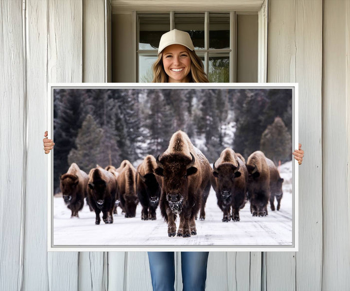 Bison Herd Canvas Wall Art.