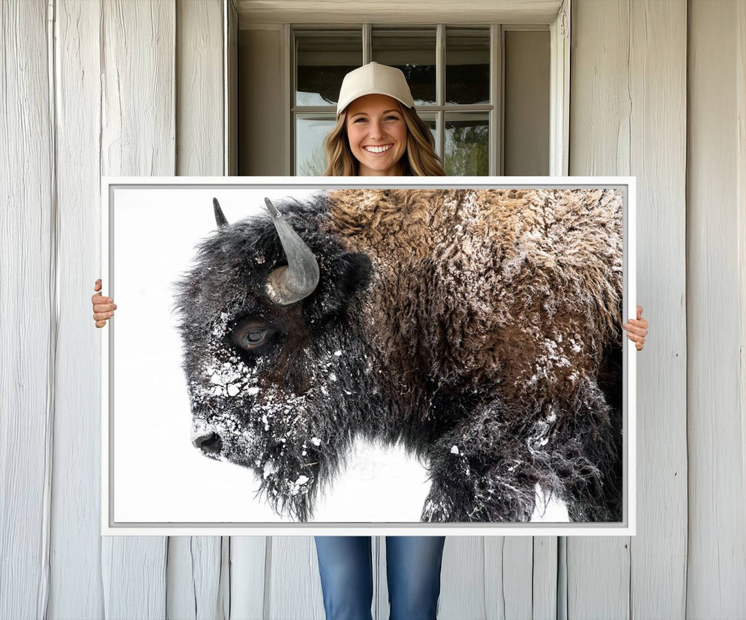 The American Bison Wall Art Print is prominently displayed on the wall.