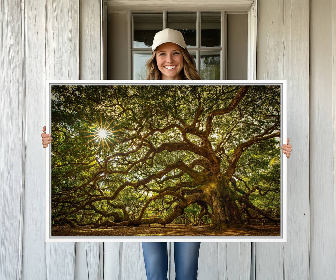 The Ancient Angel Oak Tree Art Sunburst Canvas Print, a framed triptych, serves as wall art.