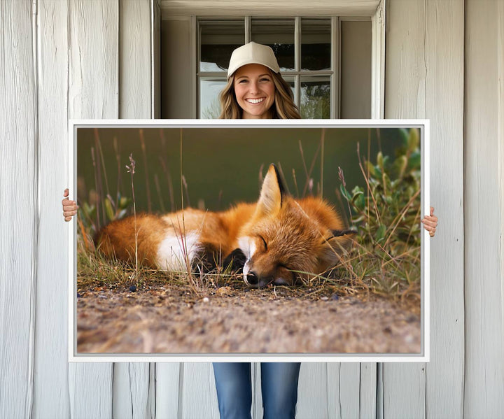 The Sleeping Fox Wall Art Canvas Print is ideal for farmhouse decor.