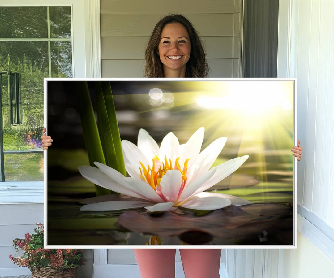 The Lotus Flower Wall Art Canvas Print showcases a white water lily with a yellow center floating gracefully in sunlight.