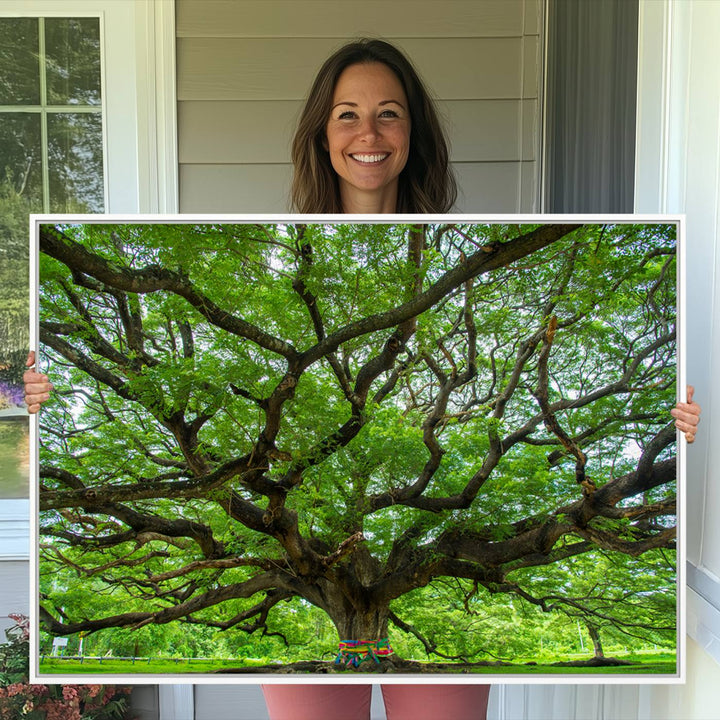Oak Tree Wall Art Print, Forest Canvas Wall Art for Home and Office, Framed Angel Oak Tree Canvas Art Printing