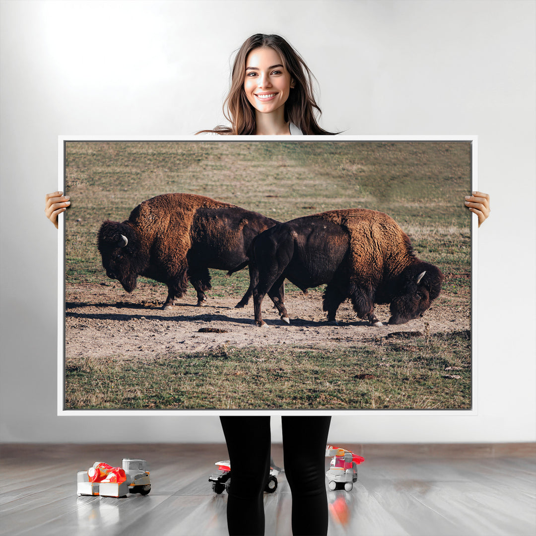 Bison Photography Wall Art Canvas Print, Framed Western Wildlife Art Picture Print, Modern Ranch Perfect Western Rustic Decor Artwork