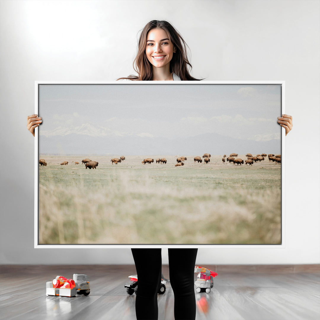 Bison Herd Wall Art Canvas Print, Framed Western Art Picture Print, Bison Perfect Ranch Decor Artwork