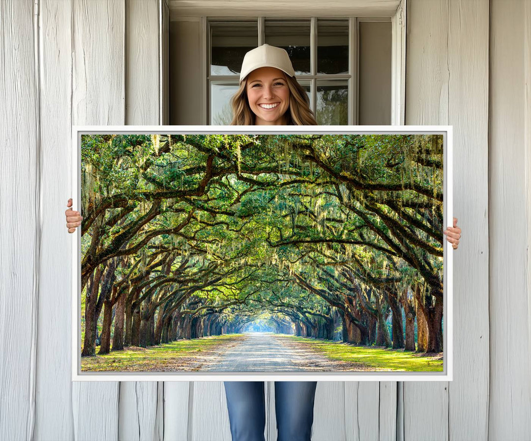 Wormsloe State Plantation Driveway Wall Art shines with Southern charm.