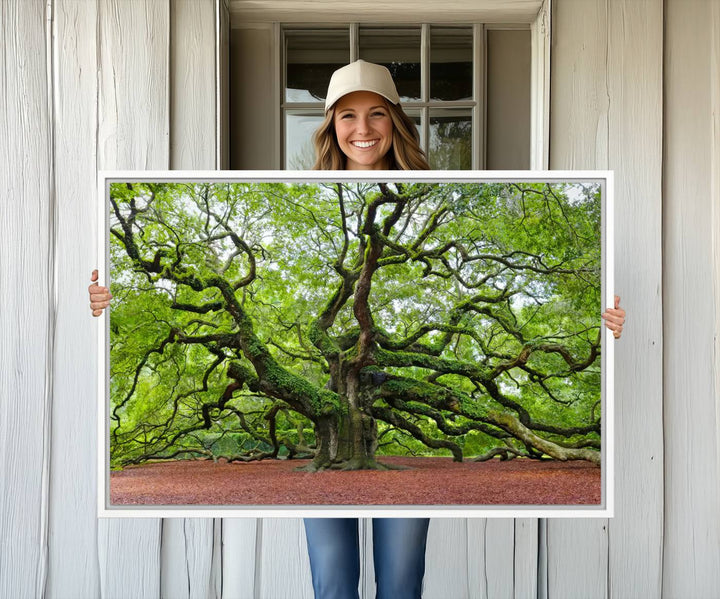 Framed Angel Oak Tree Wall Art: Large 3-panel green nature canvas, ready to hang.