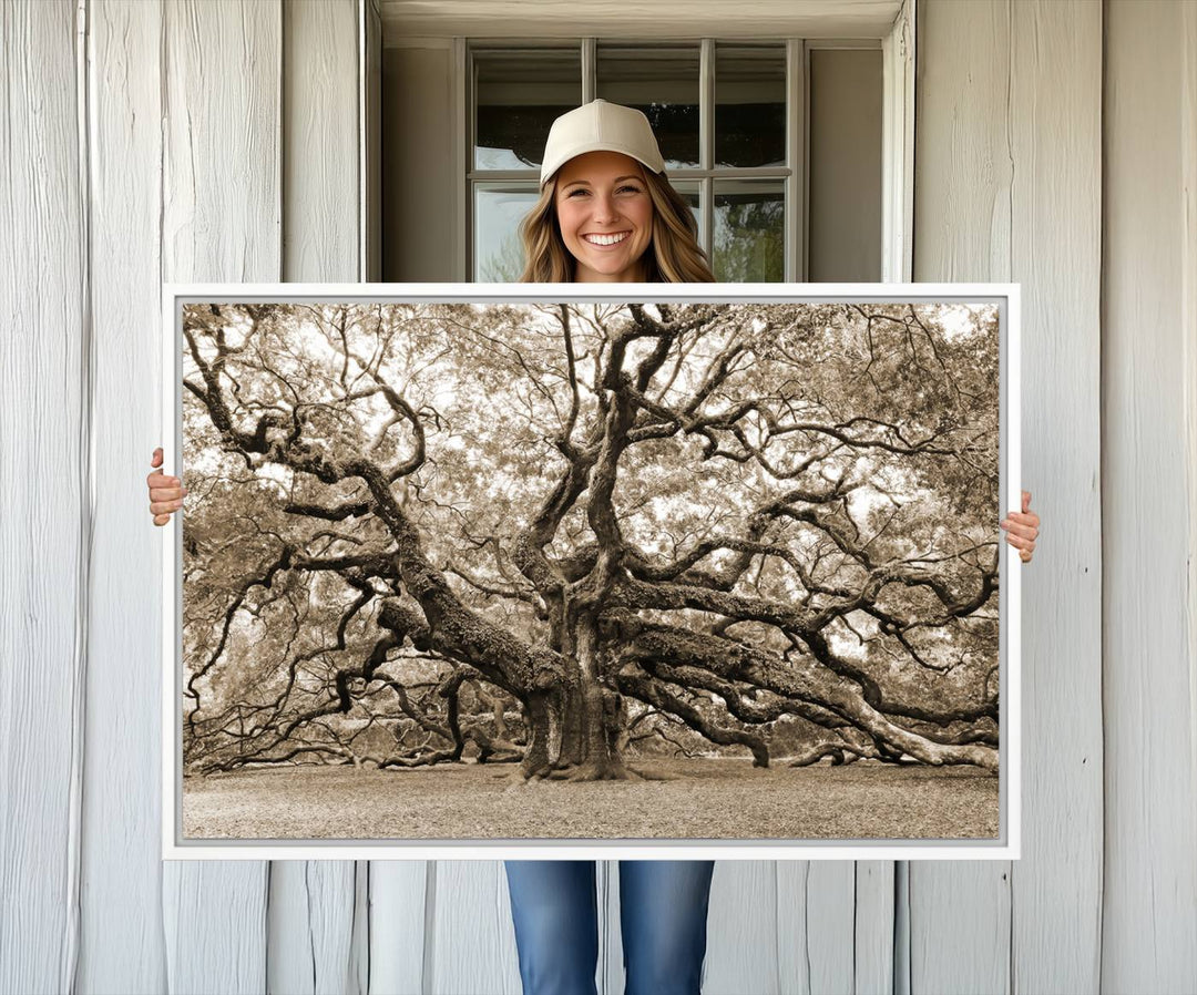 Displayed on the wall is a Sepia-framed Angel Oak Tree 3-panel canvas.