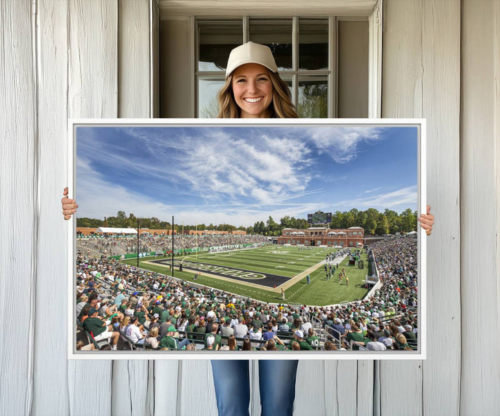 The University of Charlotte 49ers stadium print adds flair to a modern living room wall with its vibrant scene and clear sky.