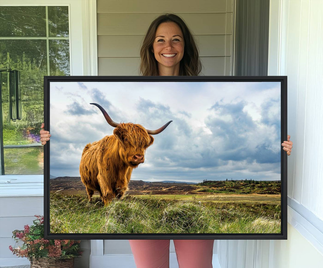 Highland Cattle Canvas Print: A minimalistic touch for any setting.