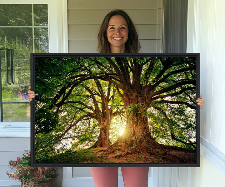 Majestic Ancient Tree Wall Art is illuminated by sunlit forest rays.