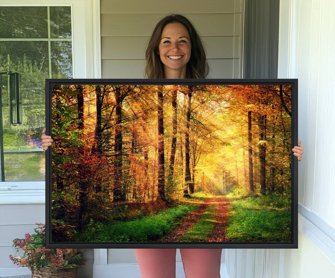 The Sunlight Through Trees Wall Art Canvas Print showcases a sunlit autumn forest and includes UV protection to ensure lasting vibrance.