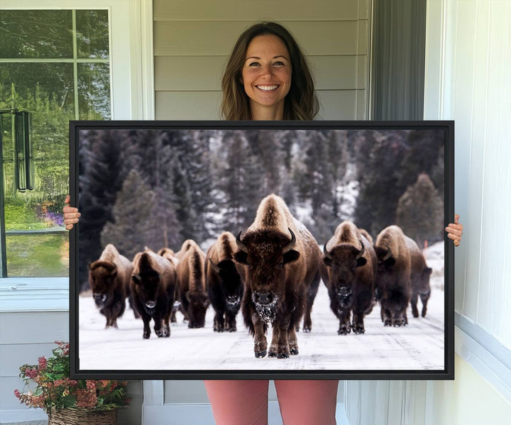 Bison Herd Canvas Wall Art.