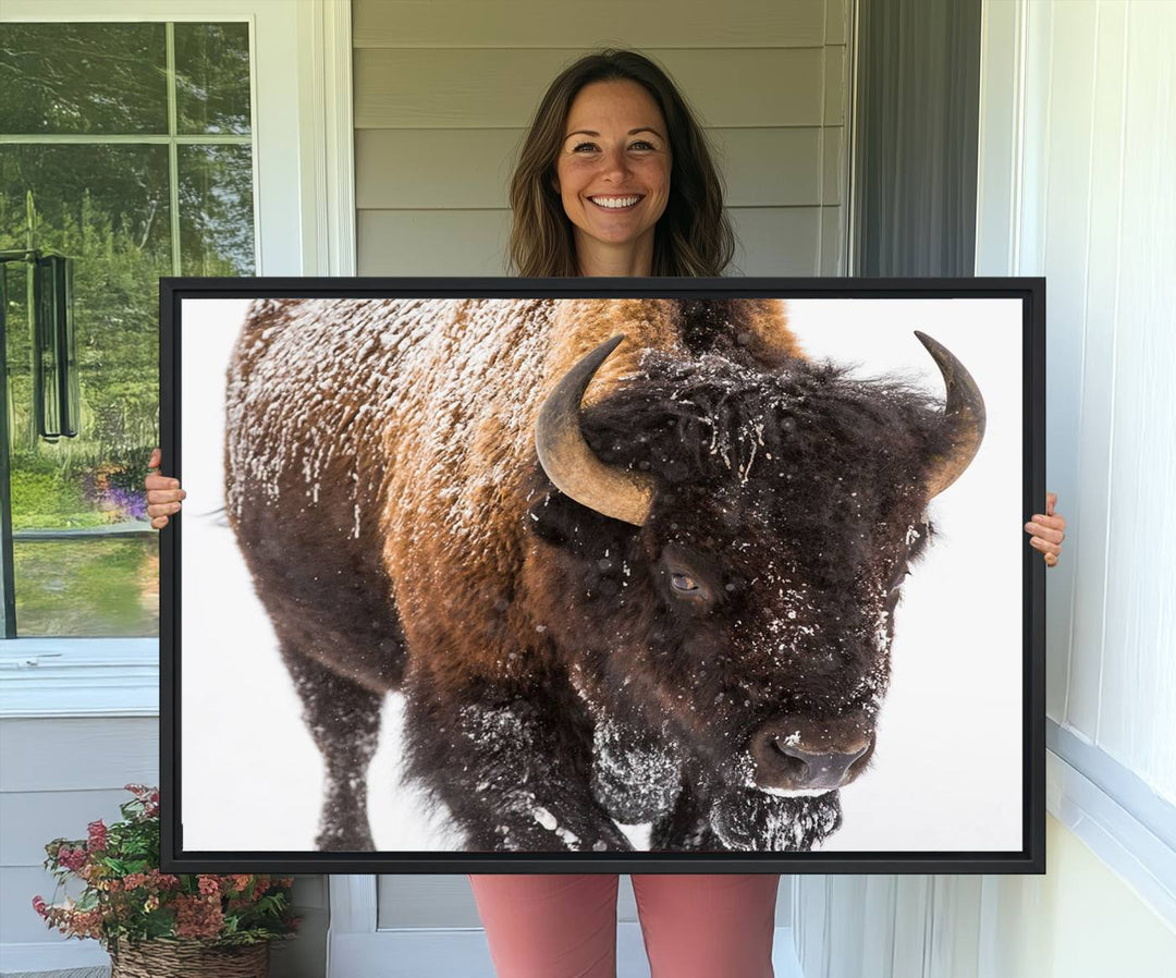 Bison Wall Art Canvas.