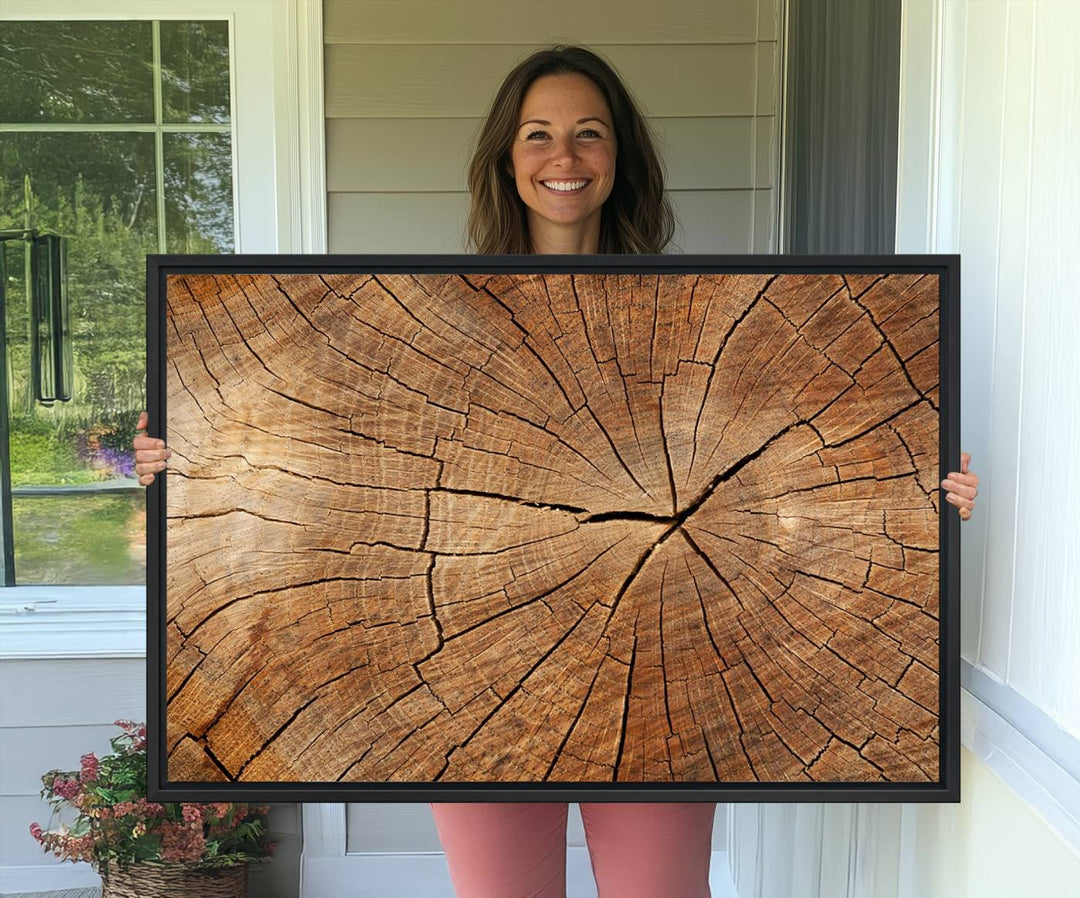 Tree Ring Canvas Art decorates a textured wall.