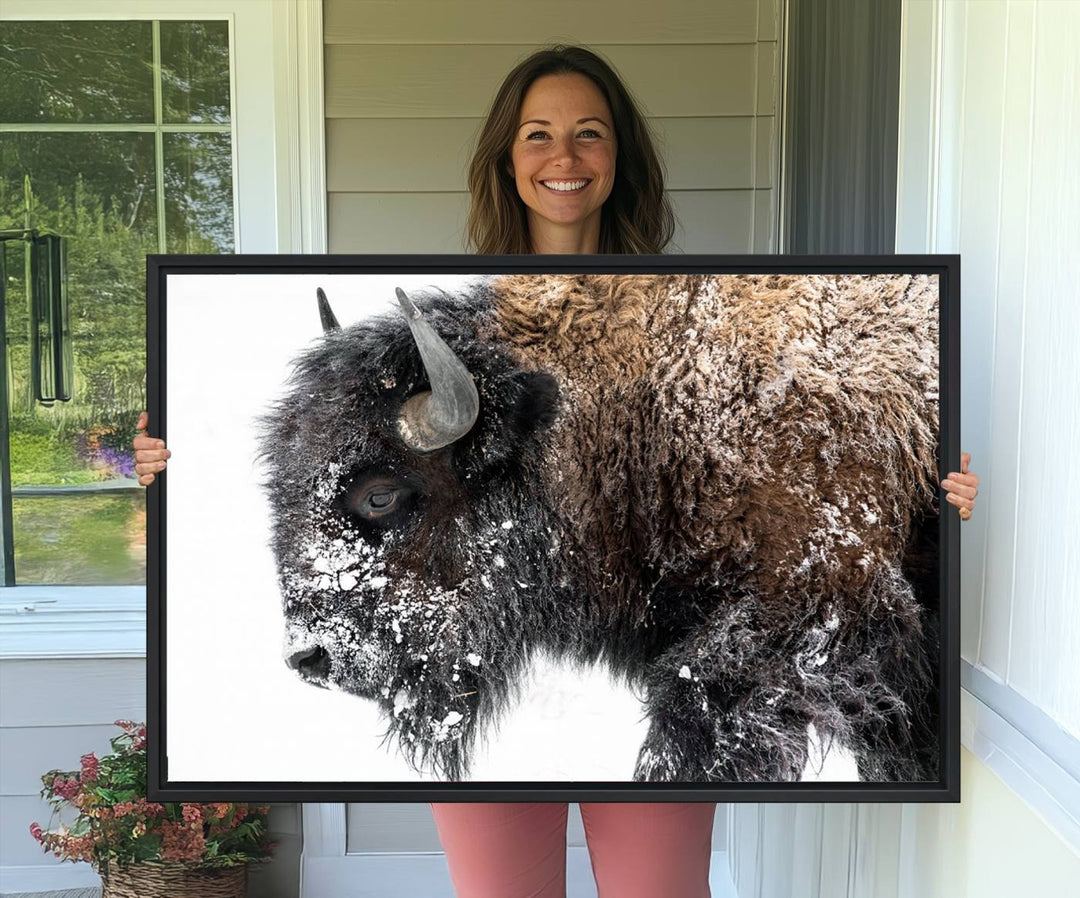 The American Bison Wall Art Print is prominently displayed on the wall.