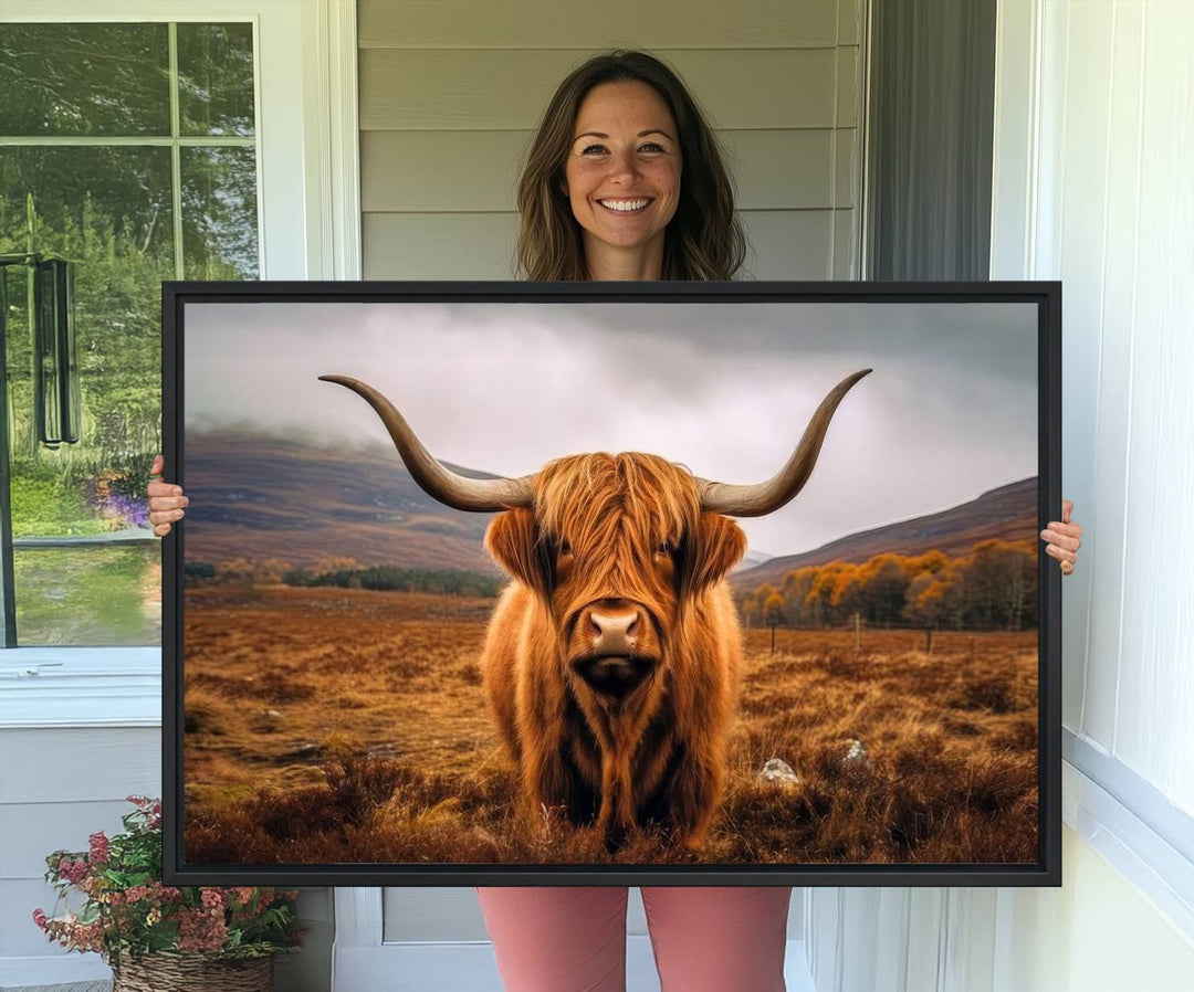 Highland Cow Longhorn Canvas Print, framed, on a wooden wall.