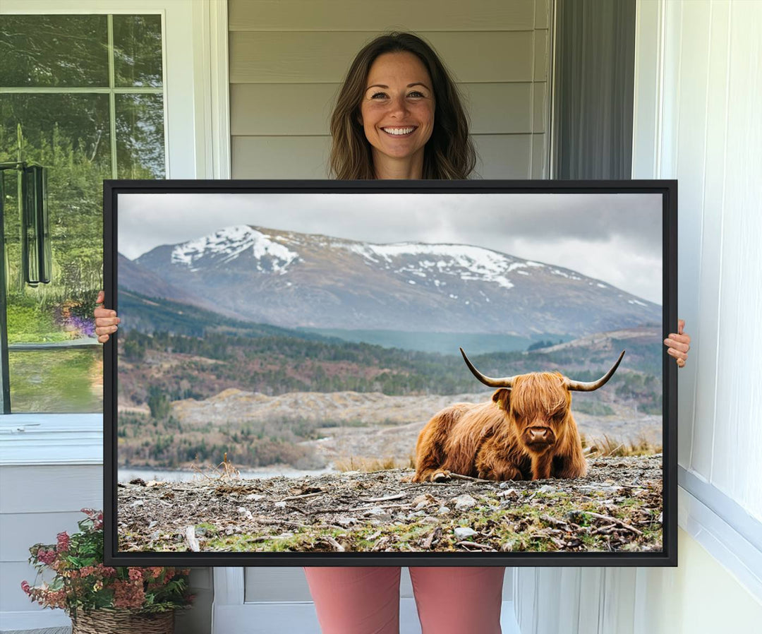 Highland Cow Horn Farm Wall Art Canvas Print is displayed against a wooden wall featuring a mountainous backdrop.