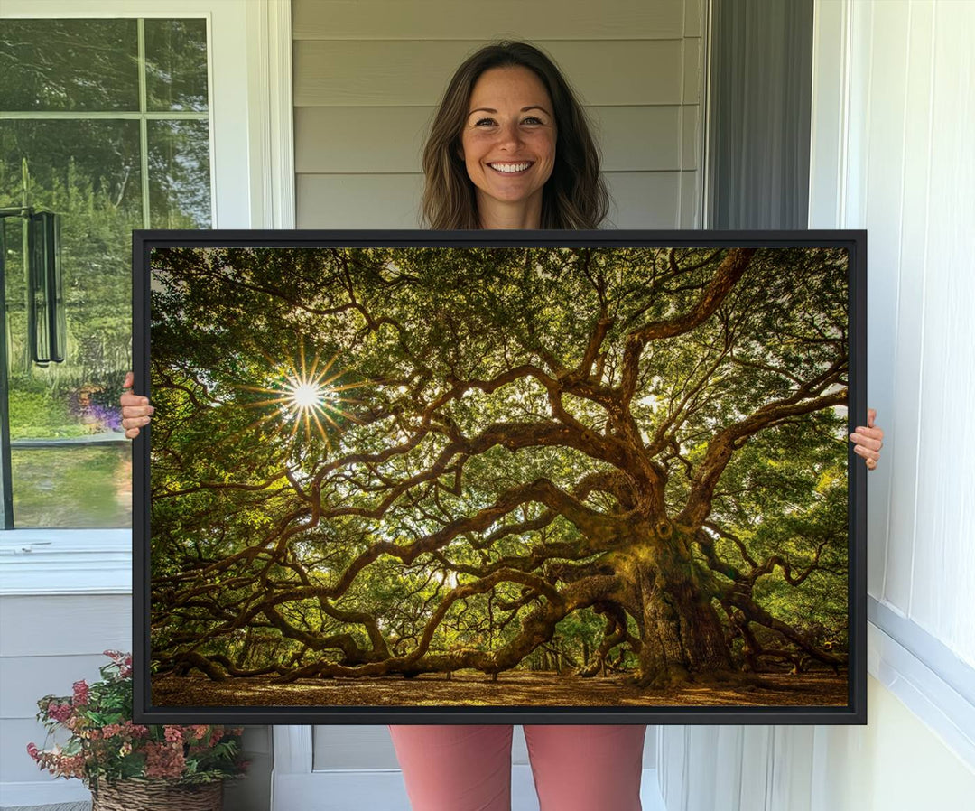 The Ancient Angel Oak Tree Art Sunburst Canvas Print, a framed triptych, serves as wall art.