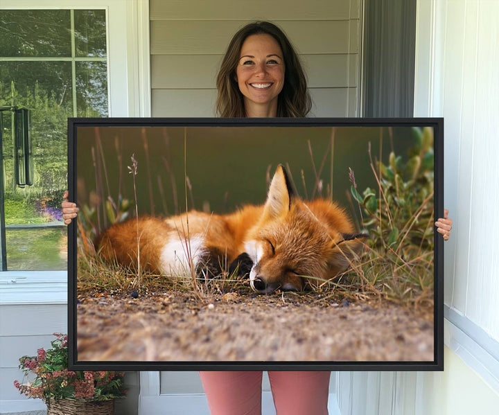 The Sleeping Fox Wall Art Canvas Print is ideal for farmhouse decor.