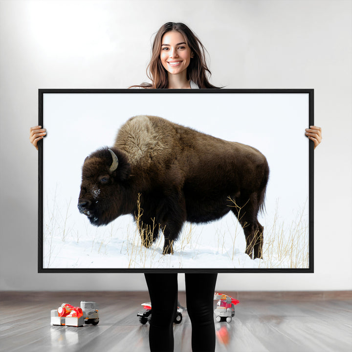 Bison Photography Wall Art Canvas Print, Framed Western Wildlife Art Picture Print, Buffalo On Snow Perfect Western Decor Artwork