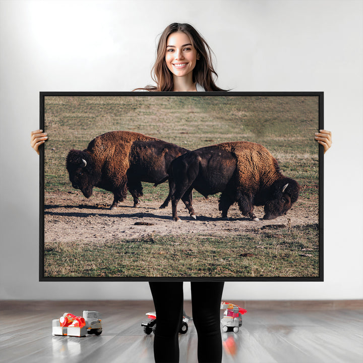 Bison Photography Wall Art Canvas Print, Framed Western Wildlife Art Picture Print, Modern Ranch Perfect Western Rustic Decor Artwork