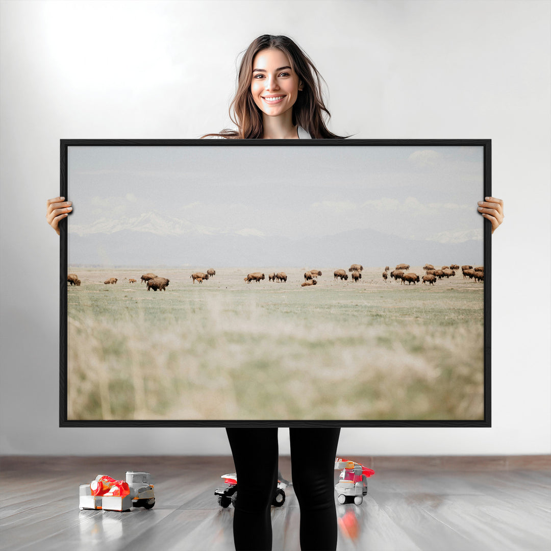 Bison Herd Wall Art Canvas Print, Framed Western Art Picture Print, Bison Perfect Ranch Decor Artwork