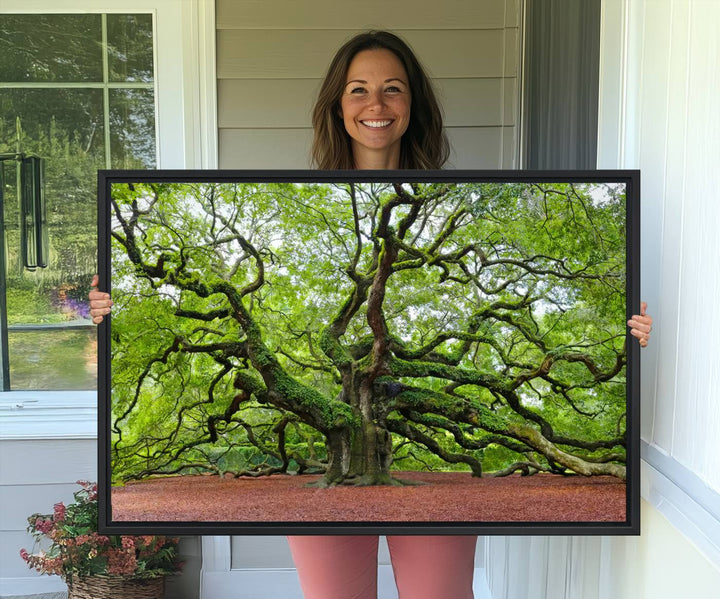 Framed Angel Oak Tree Wall Art: Large 3-panel green nature canvas, ready to hang.