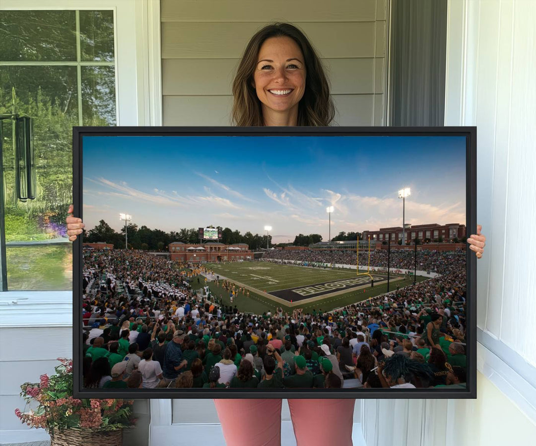 Wall art: University of Charlotte 49ers Football Team at Jerry Richardson Stadium.