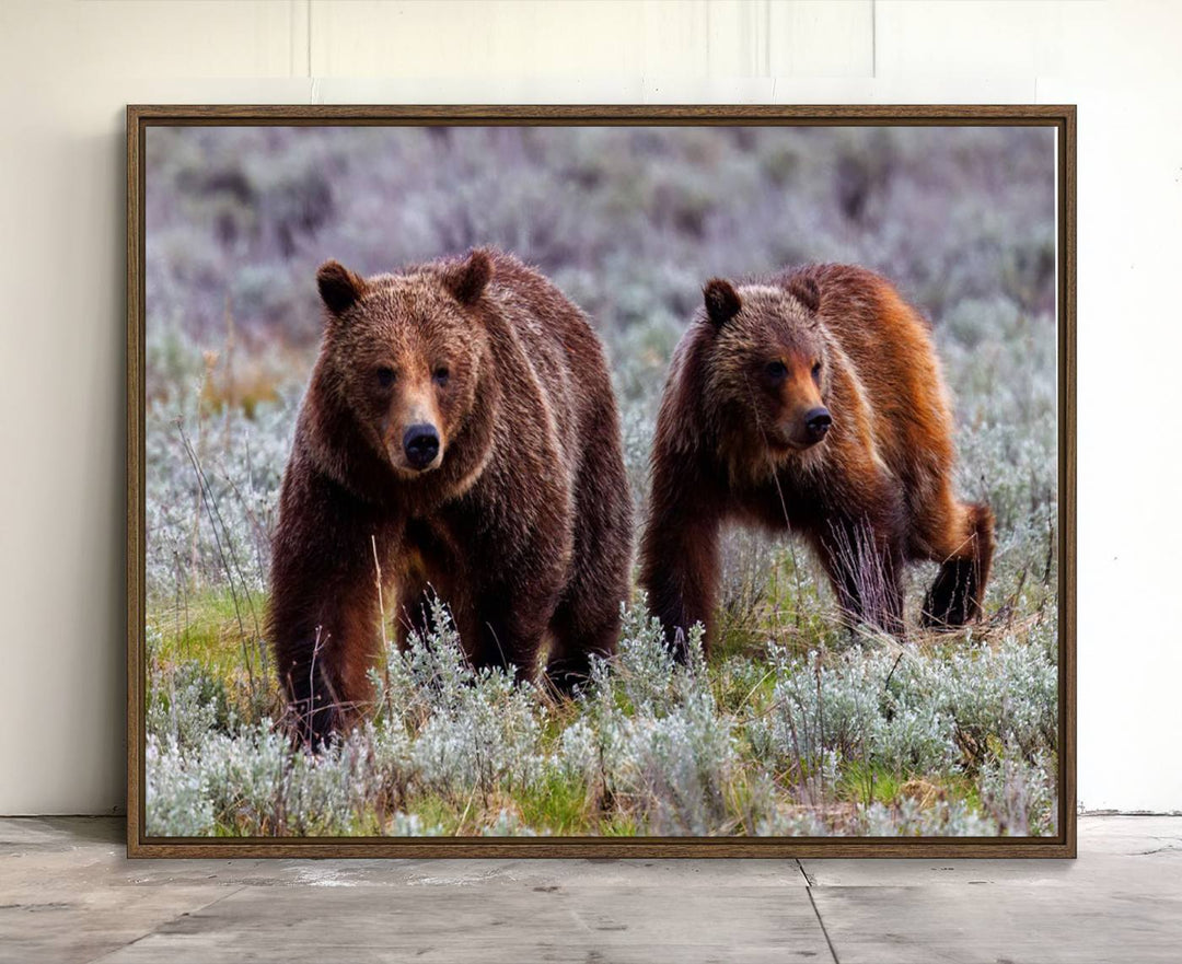 The "Queen of the Tetons" is a stunning canvas art print featuring Grizzly 399 and two bears strolling through a grassy field. Its gallery-quality finish beautifully captures the essence of nature, making it perfect for rustic home decor.