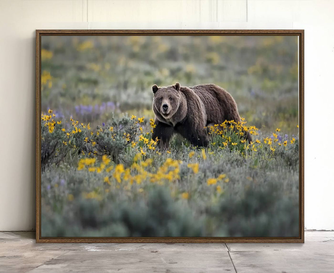 The "Queen of the Tetons" is a stunning canvas wall art print featuring Grizzly 399 walking through a field of yellow and purple flowers, showcasing the gallery-quality finish.