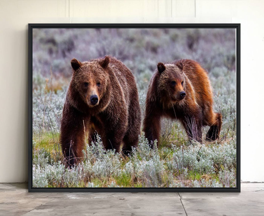 The "Queen of the Tetons" is a stunning canvas art print featuring Grizzly 399 and two bears strolling through a grassy field. Its gallery-quality finish beautifully captures the essence of nature, making it perfect for rustic home decor.