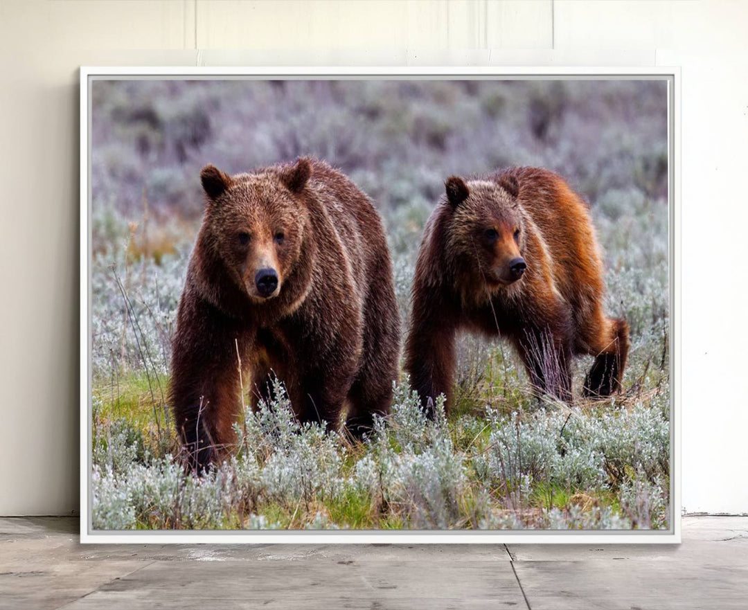 The "Queen of the Tetons" is a stunning canvas art print featuring Grizzly 399 and two bears strolling through a grassy field. Its gallery-quality finish beautifully captures the essence of nature, making it perfect for rustic home decor.