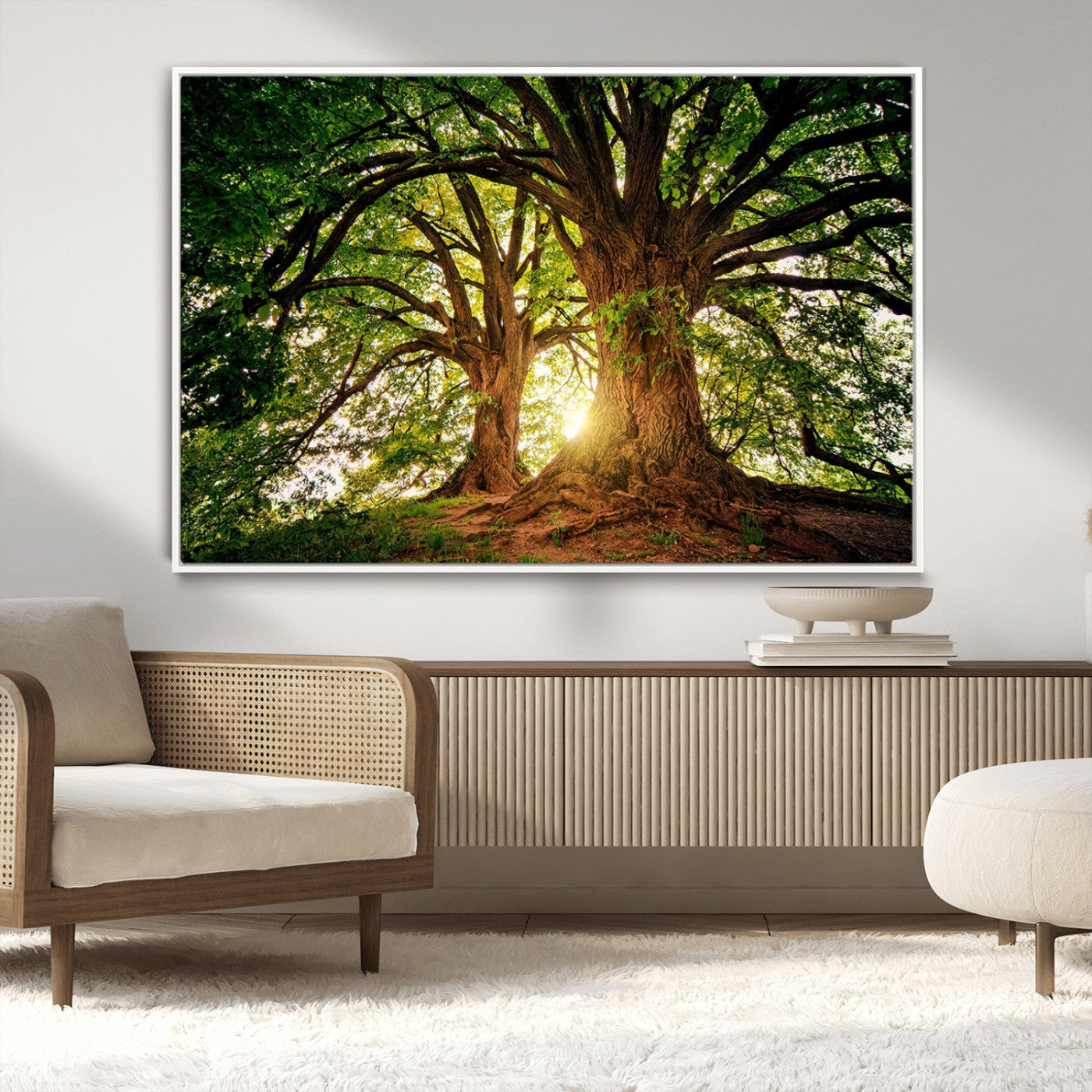MGV-FC-36X24 - Majestic Ancient Tree Wall Art, Nature-Inspired Canvas Print, Woodland Art, Tree of Life Artwork, Sunlit Forest, Giclee Nature Print