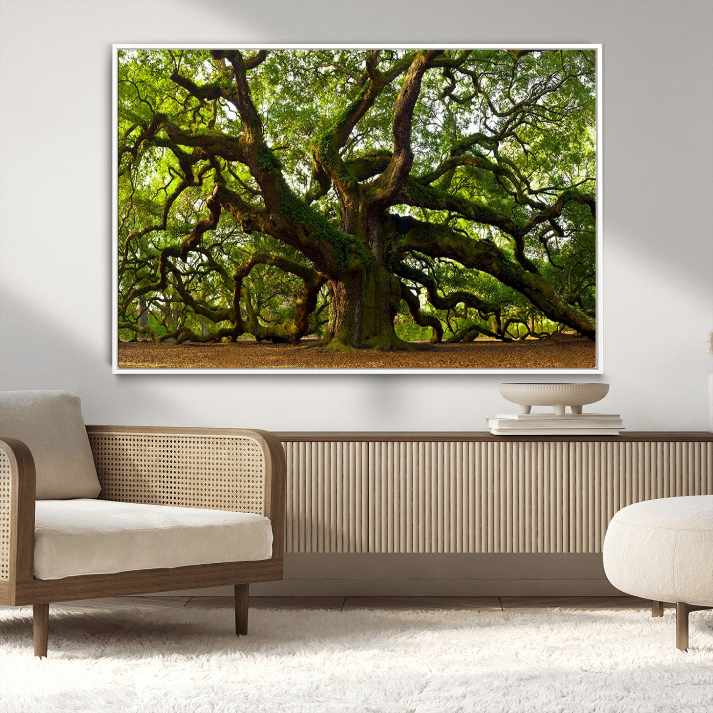 MGV-FC-36X24 - Angel Oak Tree Wall Art Canvas Print | Forest Tree Nature Photography Print on Canvas | Large Triptych Art for Living Room or Office Decor