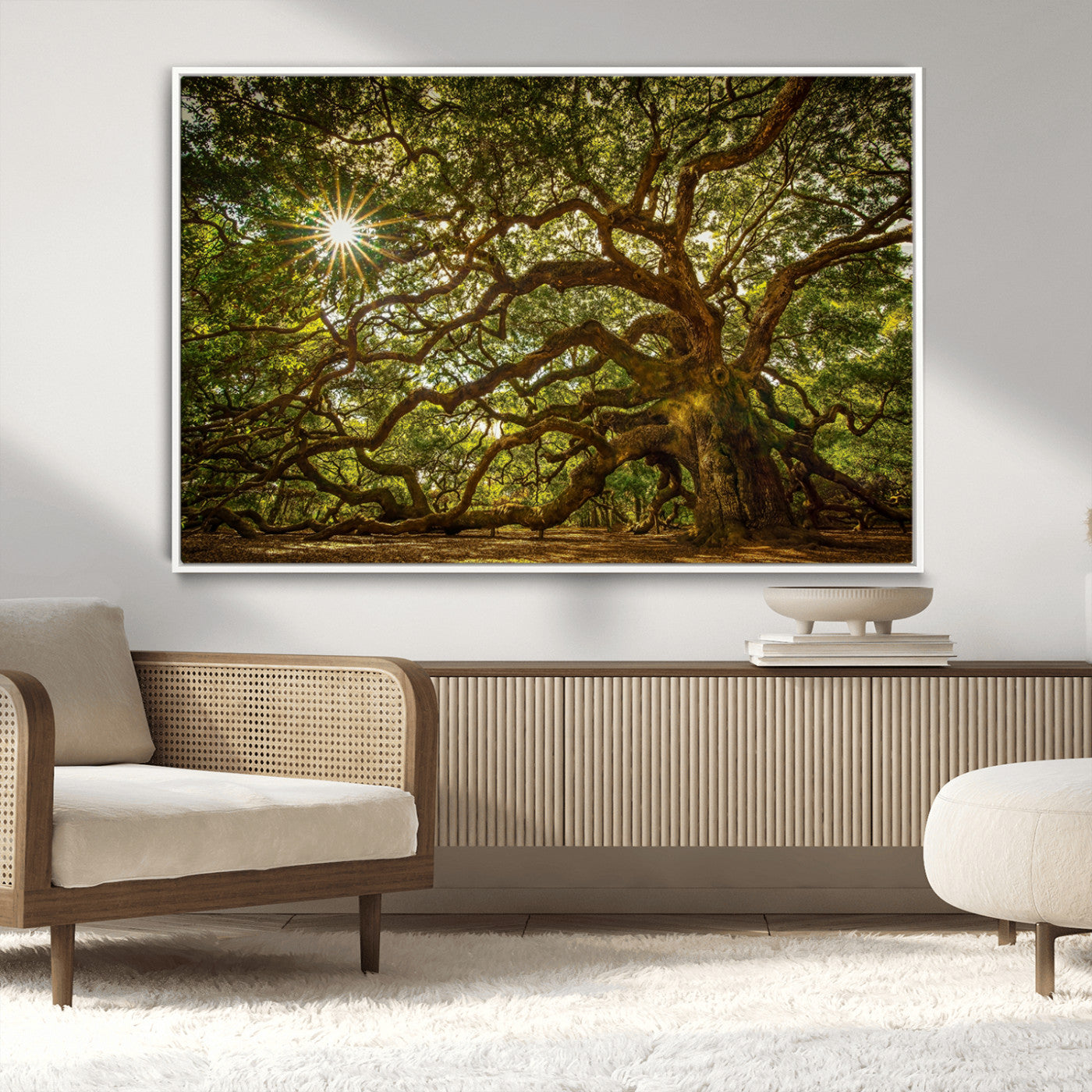 MGV-FC-36X24 - Ancient Angel Oak Tree Art Sunburst Canvas Print- Nature-Inspired Triptych Canvas Print, Framed, Ready to Hang