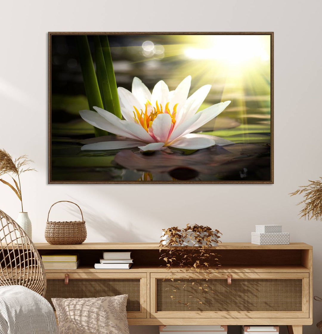 The Lotus Flower Wall Art Canvas Print showcases a white water lily with a yellow center floating gracefully in sunlight.