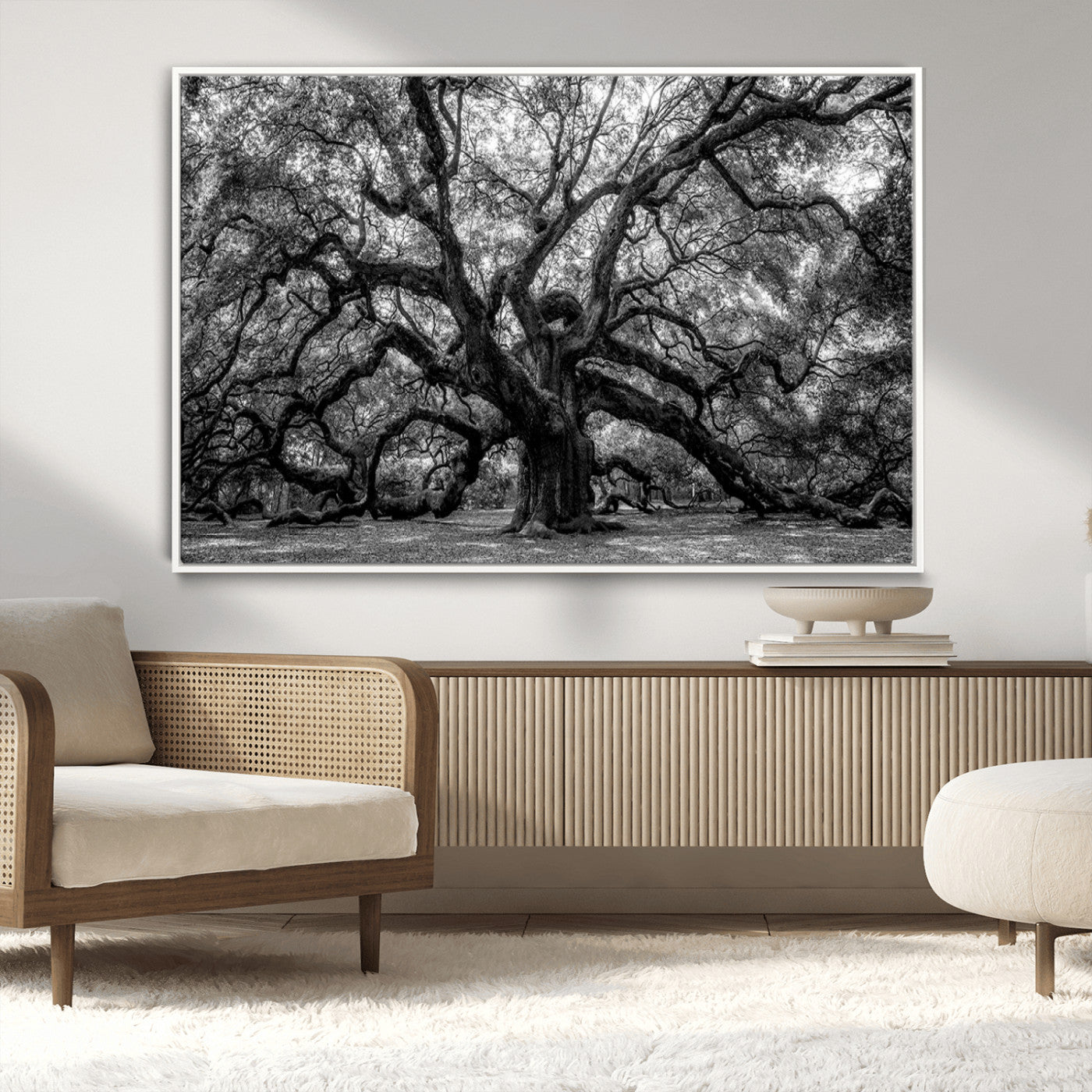 MGV-FC-36X24 - Black and White Old Angel Oak Tree Wall Art Canvas Print
