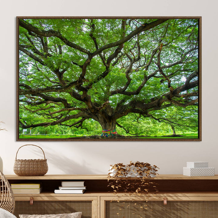 Oak Tree Wall Art Print, Forest Canvas Wall Art for Home and Office, Framed Angel Oak Tree Canvas Art Printing