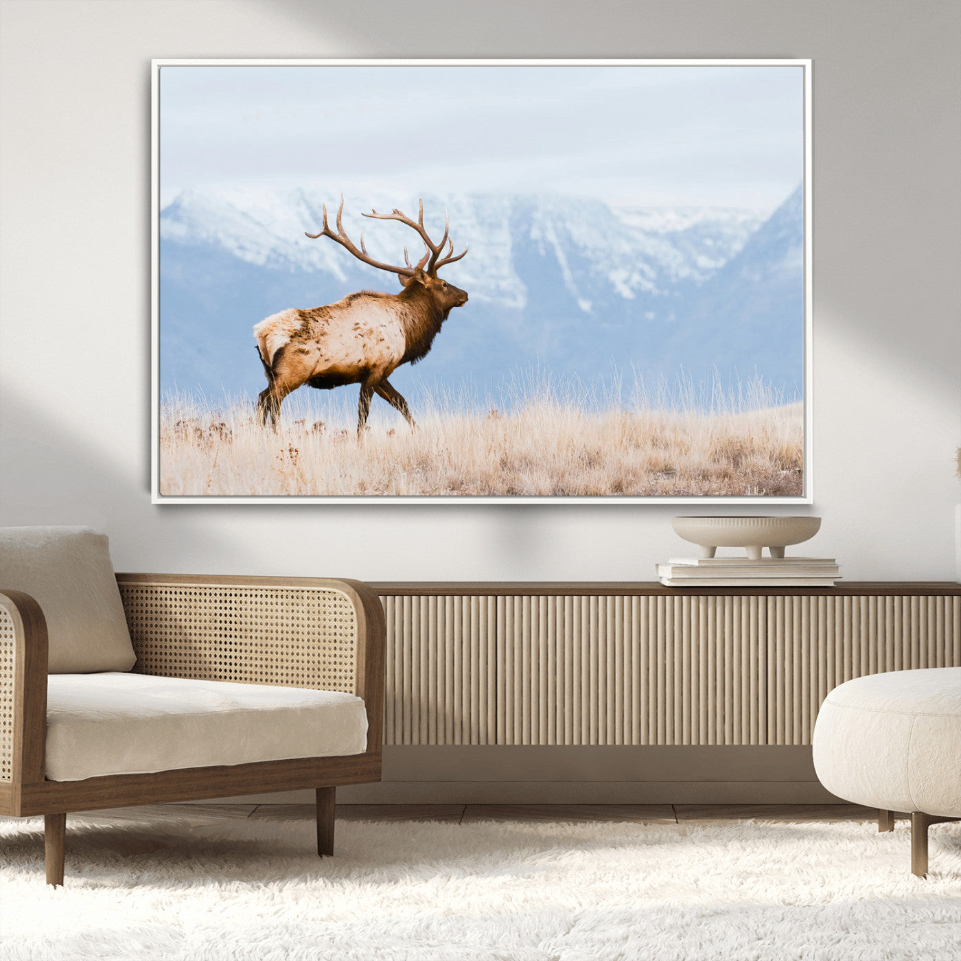 An elk walking on snowy grassland with majestic mountains in the background, ideal for rustic lodge or cabin wall decor.