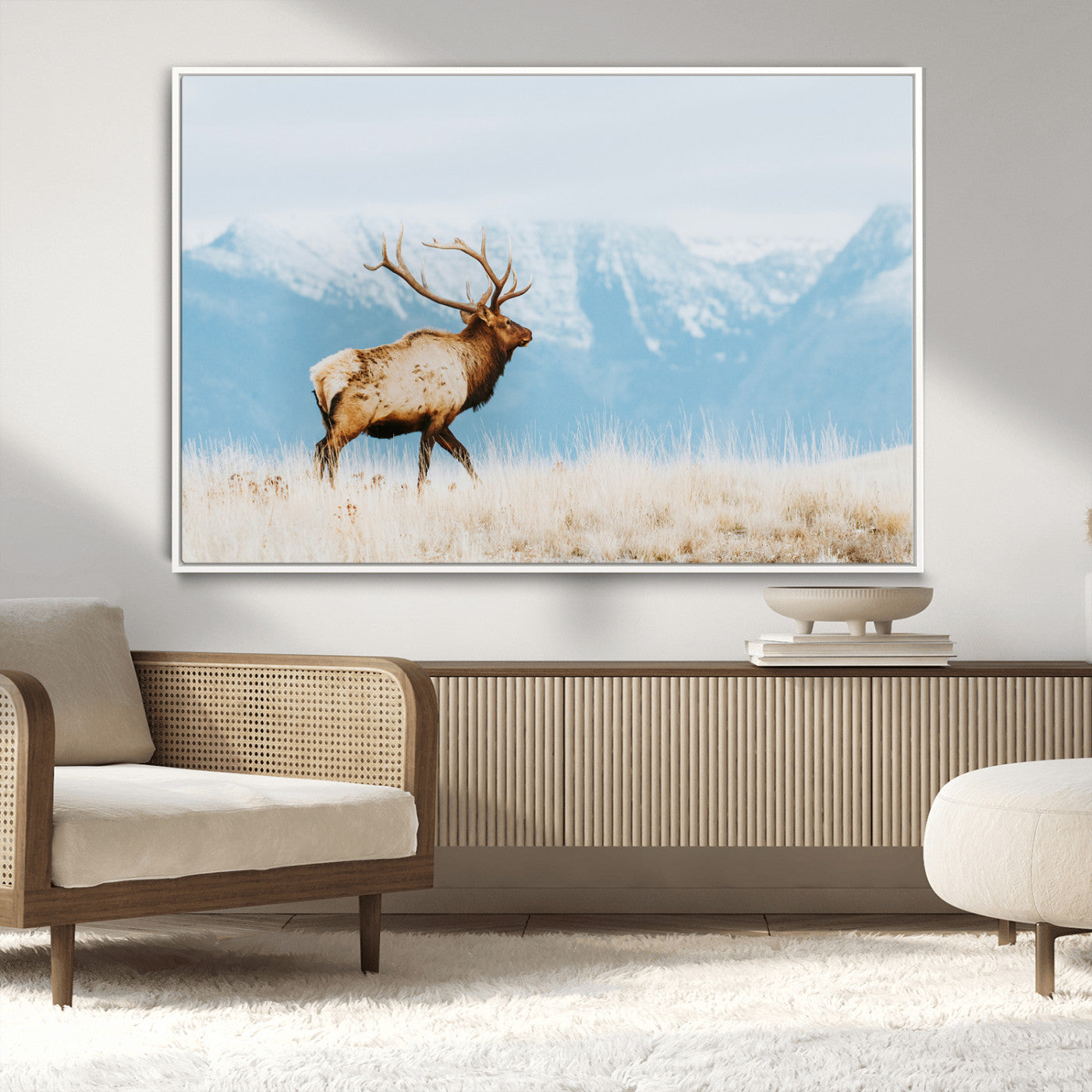 Majestic elk with antlers walking on golden grass, snowy mountains behind, perfect for rustic lodge or Scandinavian decor.