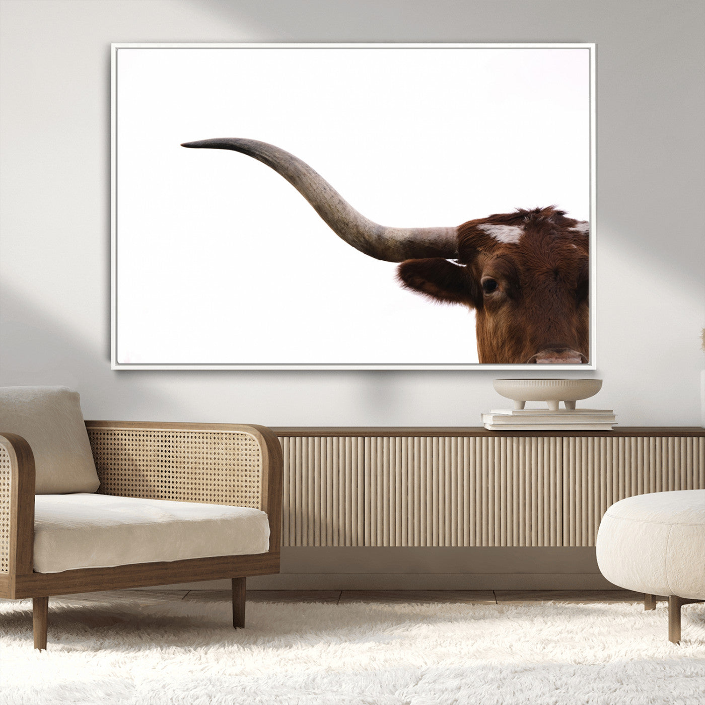 Close-up of Texas Longhorn horn and eye on white background, perfect for minimalist or modern farmhouse style wall decor.