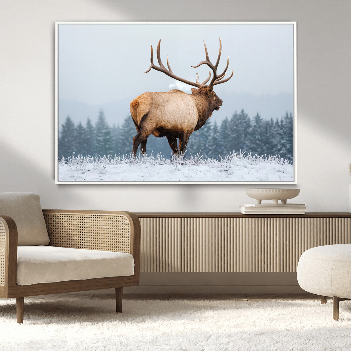 Large elk standing in a snowy field with pine trees in the background, ideal for rustic cabin or lodge-style wall decor.