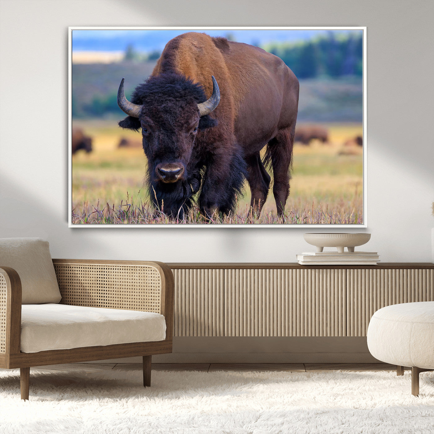 Close-up of a strong American bison standing in a grassy prairie with a blurred herd in background, perfect for rustic lodge decor.