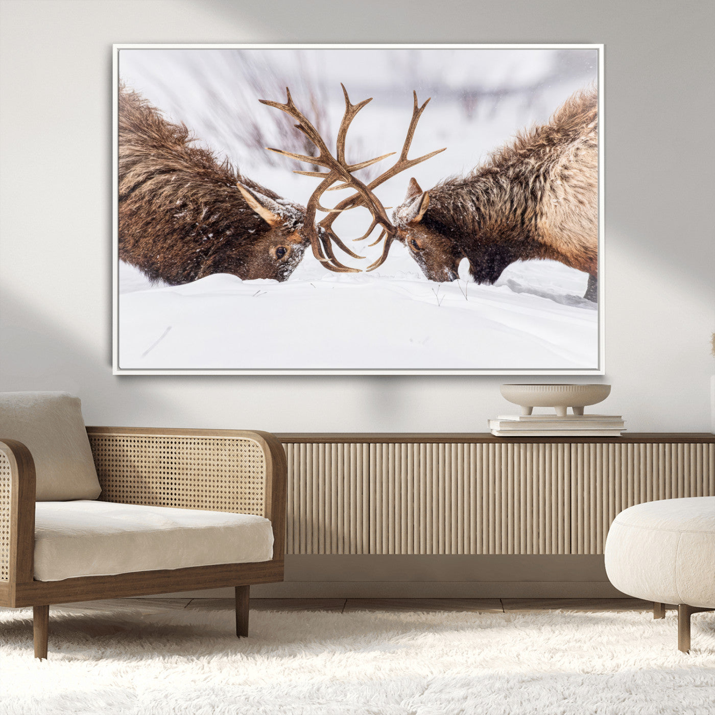 Two elk clashing antlers in a snowy forest, capturing raw power and wild energy, ideal for rustic cabin or lodge-style decor.
