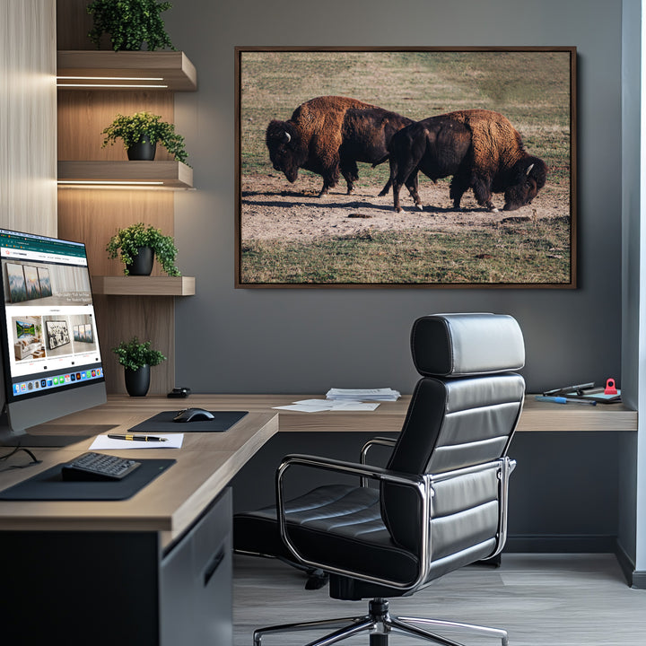 Bison Photography Wall Art Canvas Print, Framed Western Wildlife Art Picture Print, Modern Ranch Perfect Western Rustic Decor Artwork