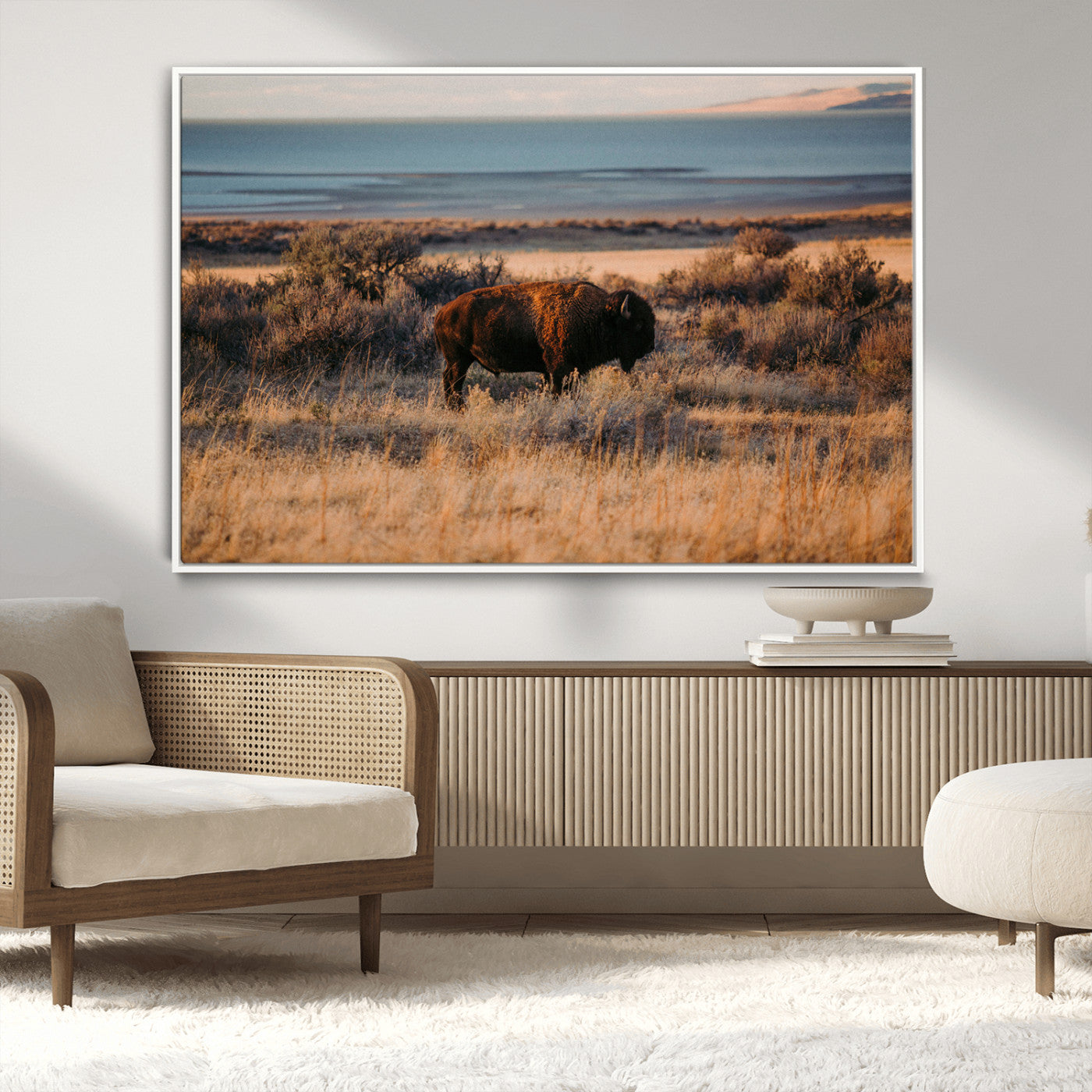 A lone bison grazing in golden prairie grass at sunset, with warm earthy tones and a distant lake view, perfect for rustic and western decor.