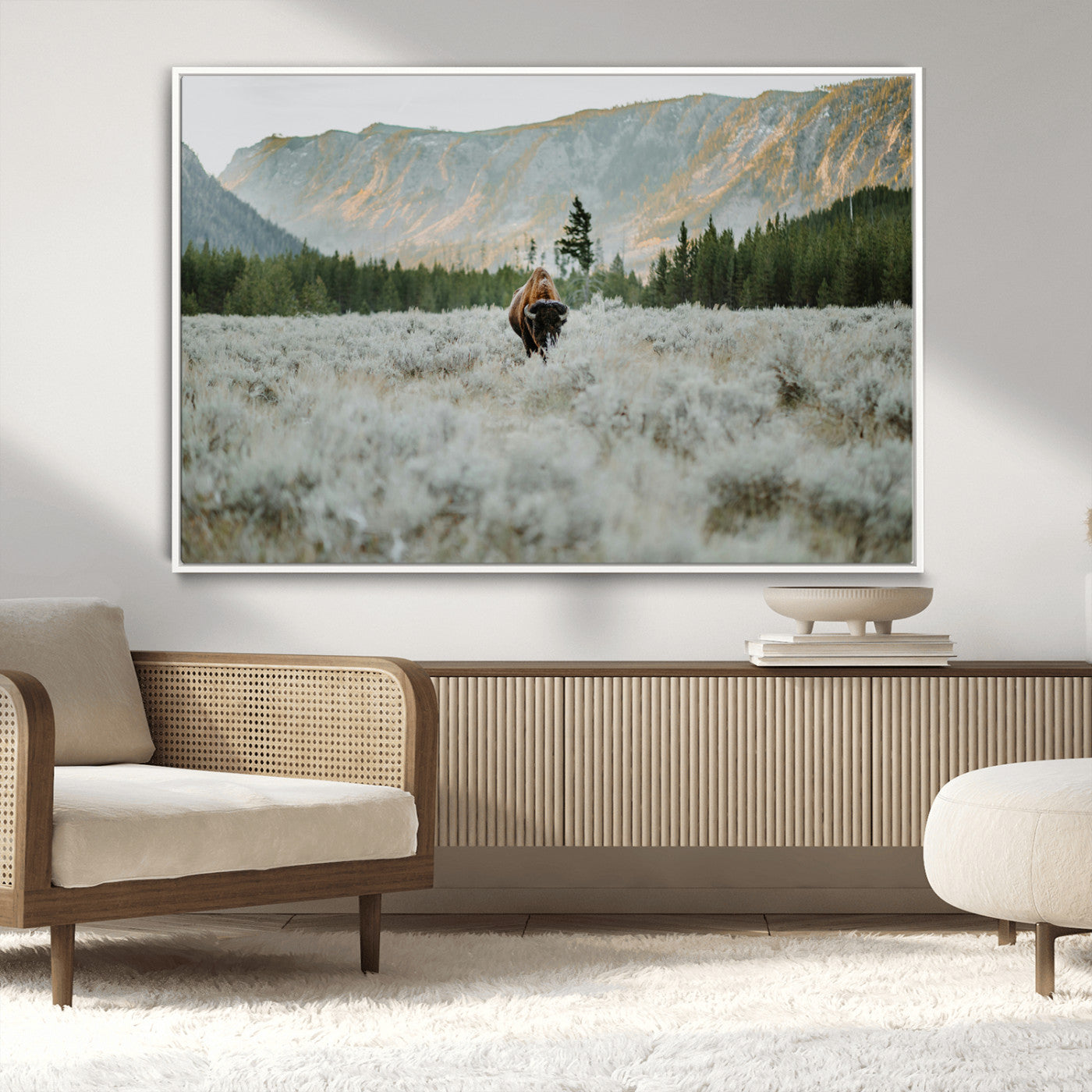Lone bison standing in a frosted sagebrush field with a pine forest and rugged mountain range in the background under soft morning light – Wall Art Canvas Print.