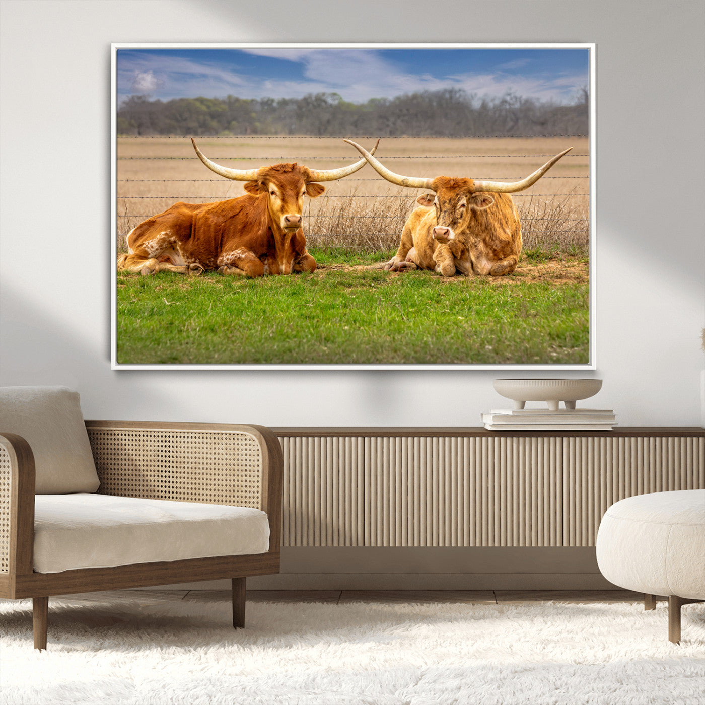 Two longhorn cattle resting on green grass in a rural field with a barbed wire fence and blurred trees in the background.