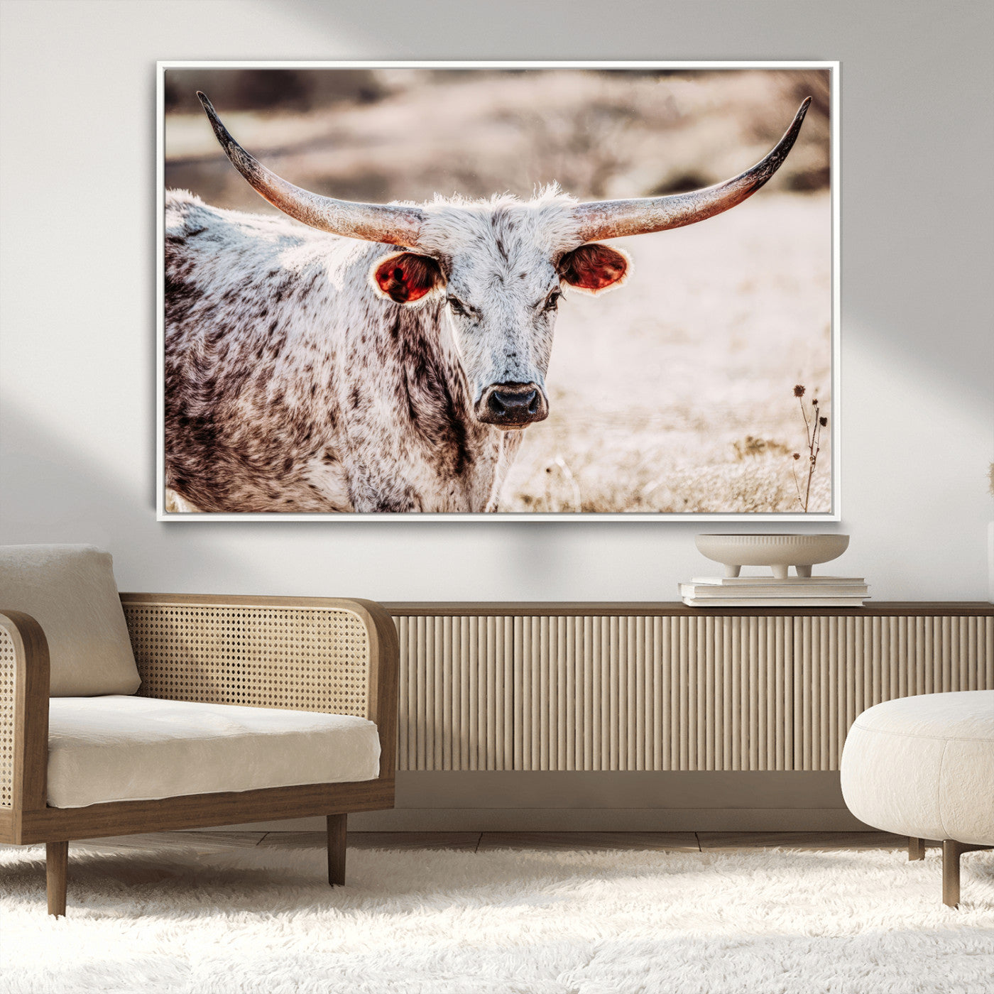 Close-up photograph of a white and brown speckled longhorn cow with very large, curved horns standing in a sunlit field with dry grass and blurred background.